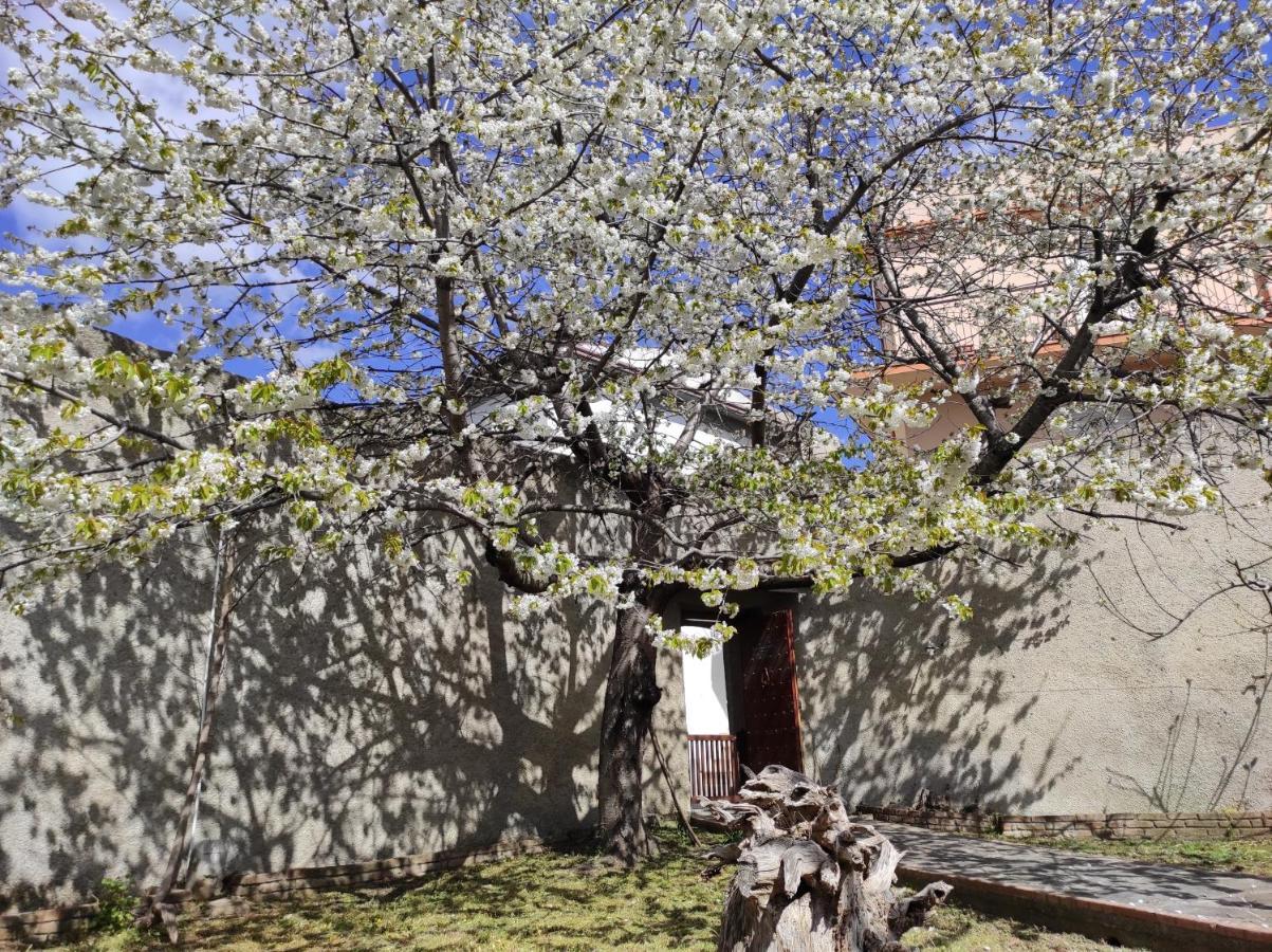 Antica Dimora Palazzo Rovitti Bed & Breakfast Cerchiara di Calabria Eksteriør bilde